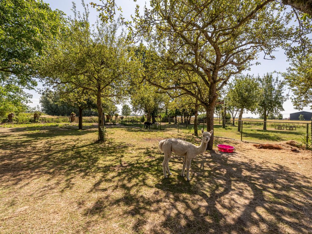 Brabersweg 25, MIJNSHEERENLAND