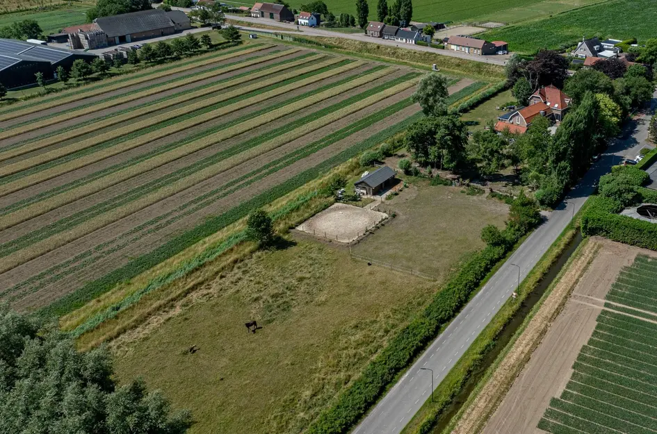Brabersweg 25