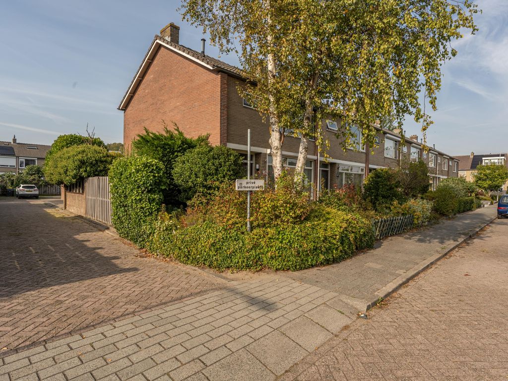 Sabinastraat 38, NIEUW-BEIJERLAND