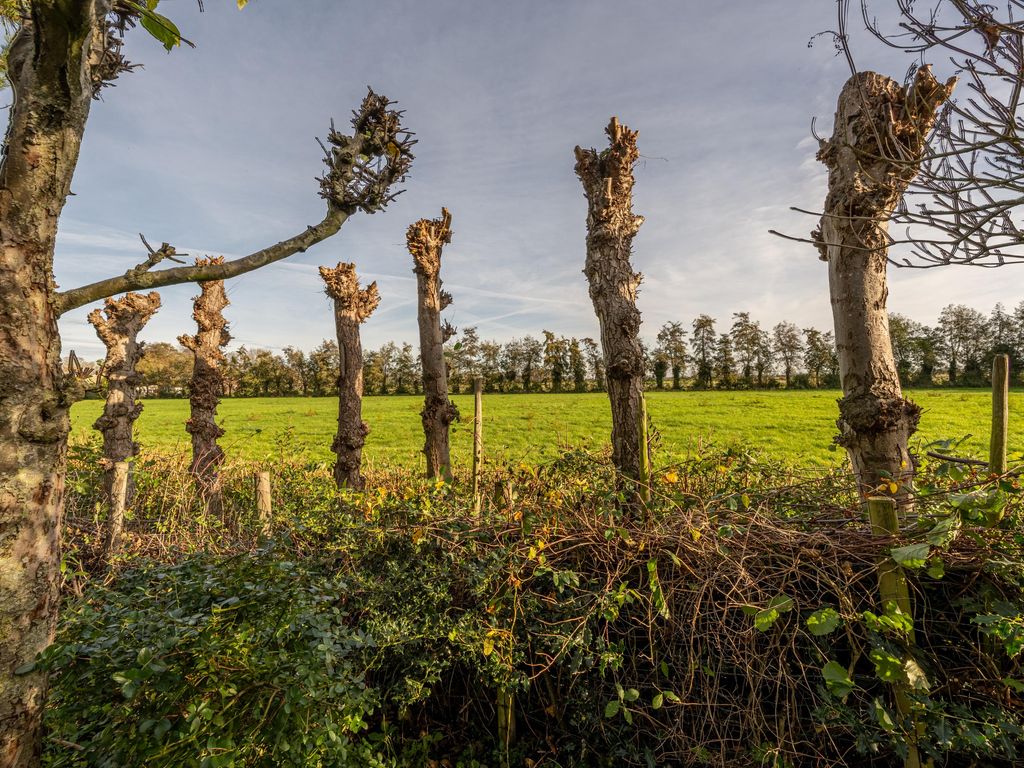 Prins Willem Alexanderln 48, WESTMAAS