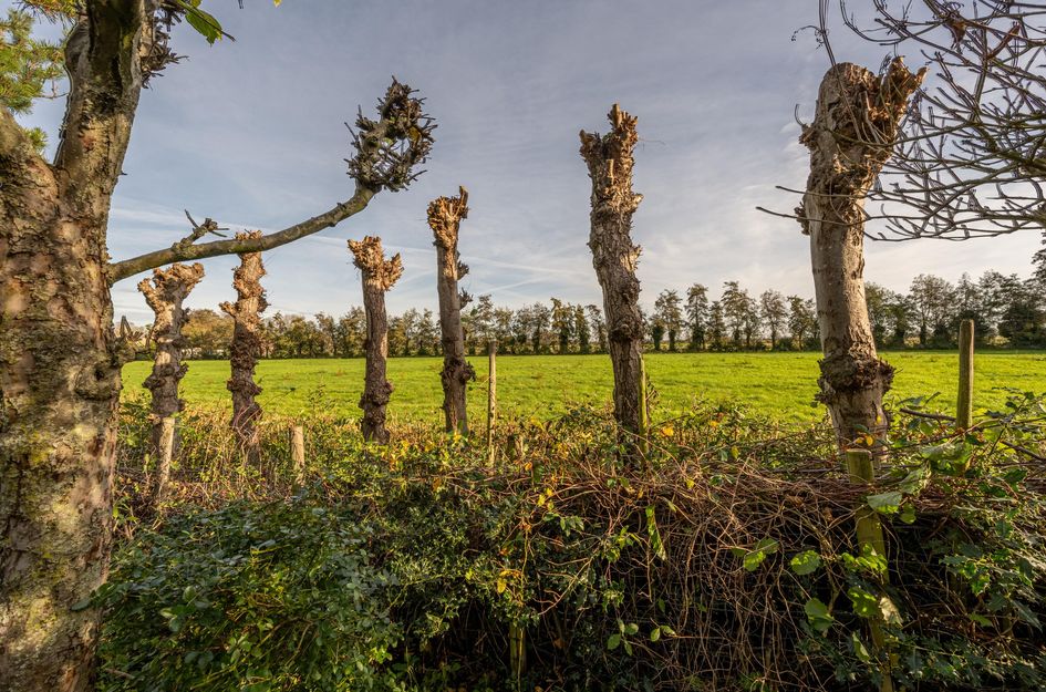 Prins Willem Alexanderln 48