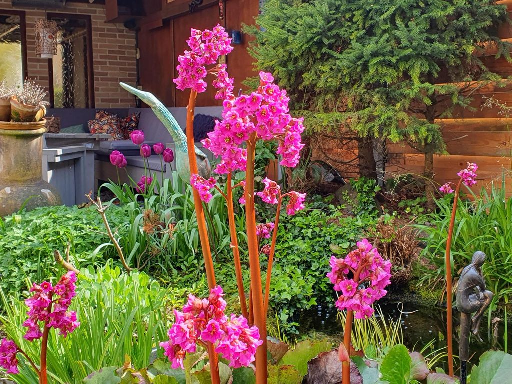 Ravenswey 42, OUD-BEIJERLAND