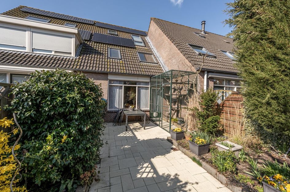 Martin Luther Kingerf 23