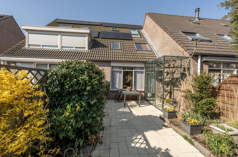 Martin Luther Kingerf 23