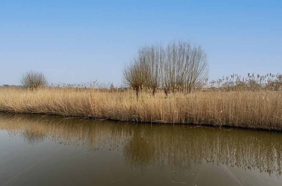 Dokter Duyvendakhof 28