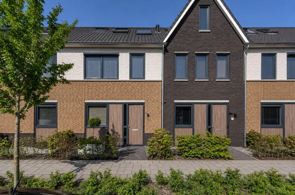 Matthijs Quispelhof 3