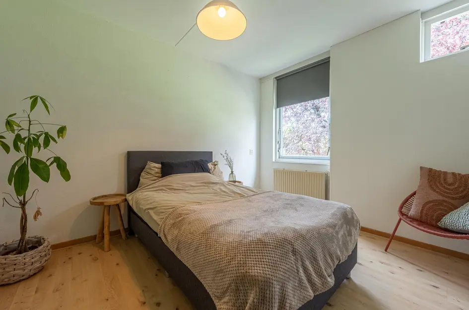 Zilvermeeuw 34