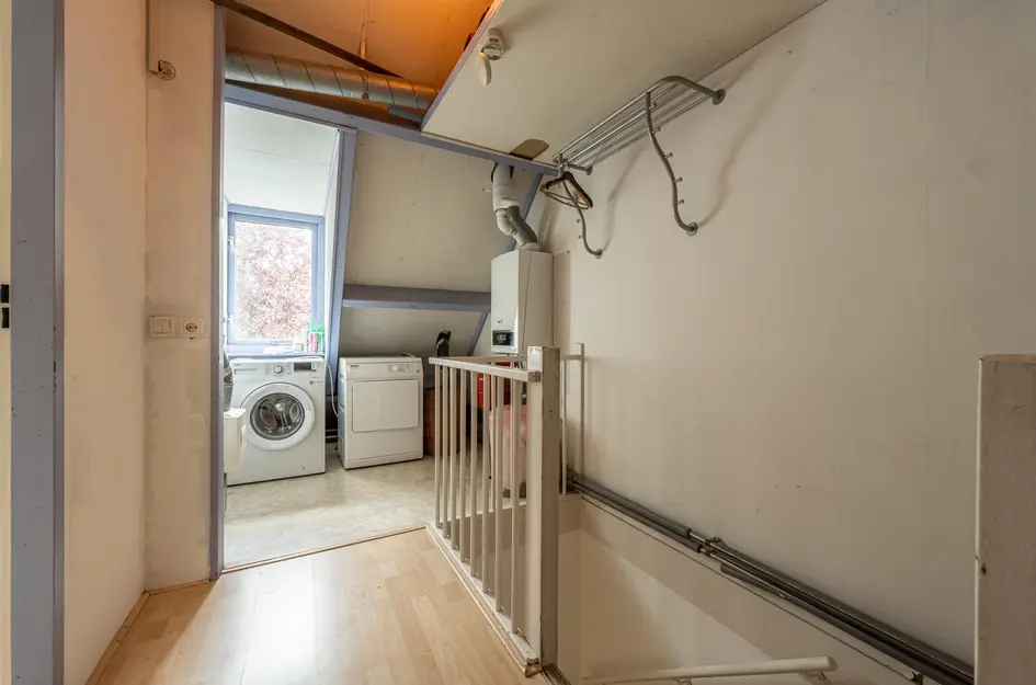 Zilvermeeuw 34