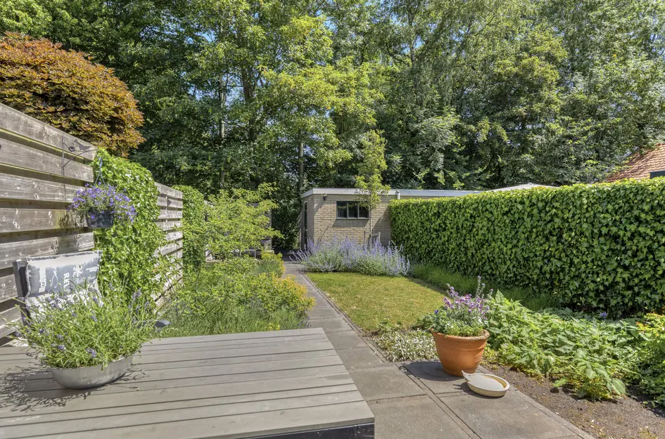 Wilhelminastraat 37