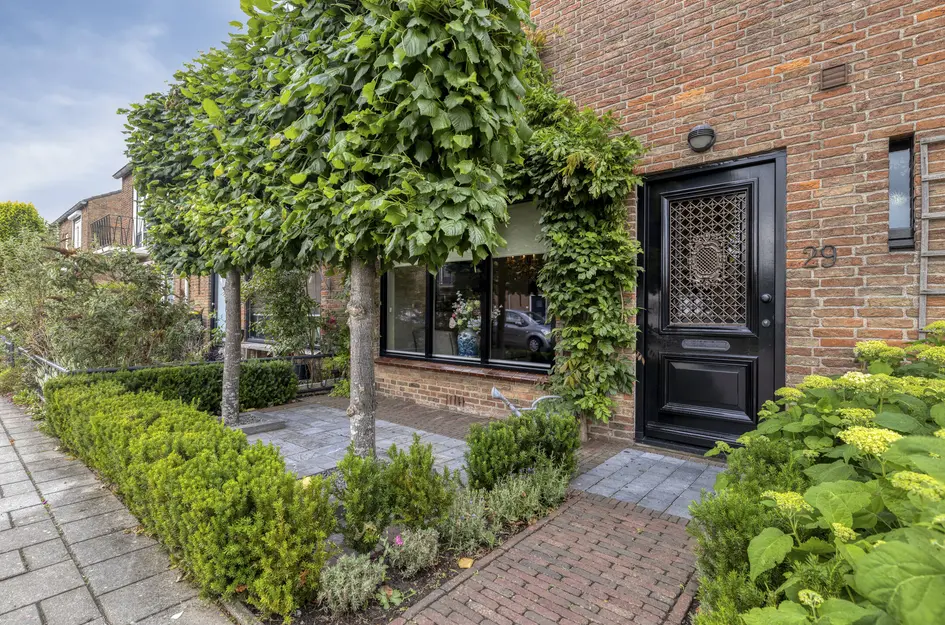 Ribesstraat 29