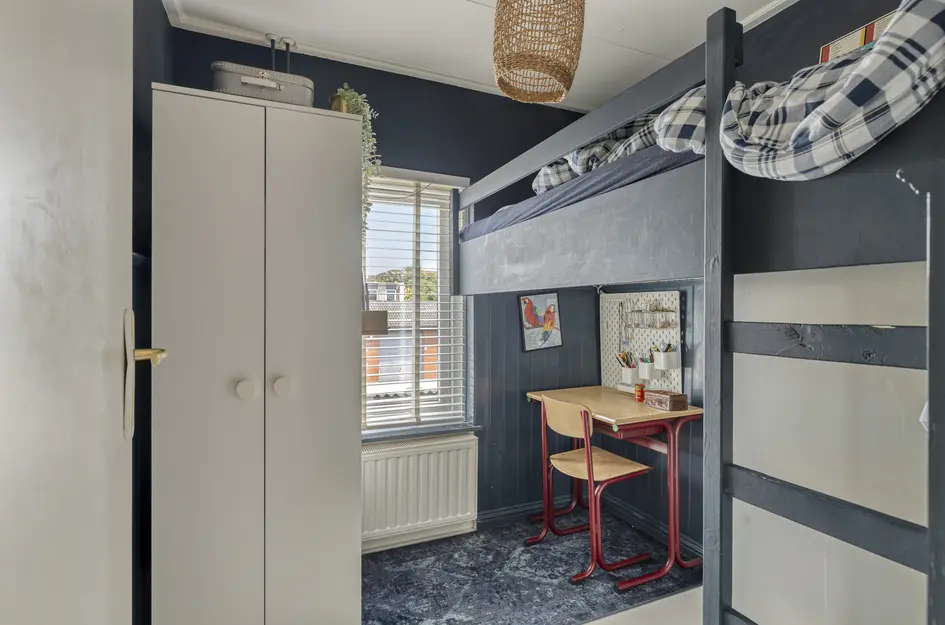 Ribesstraat 29