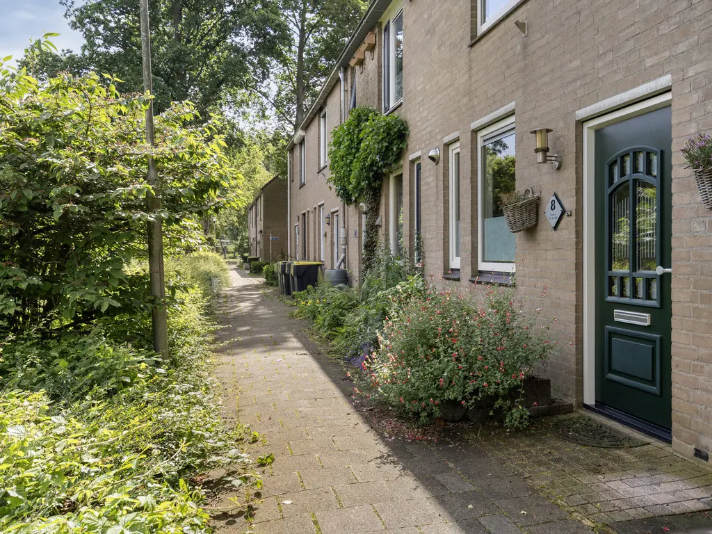 Botter 8, Oud-Beijerland