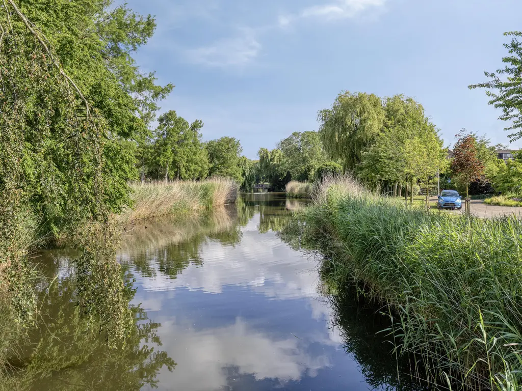 Botter 8, Oud-Beijerland