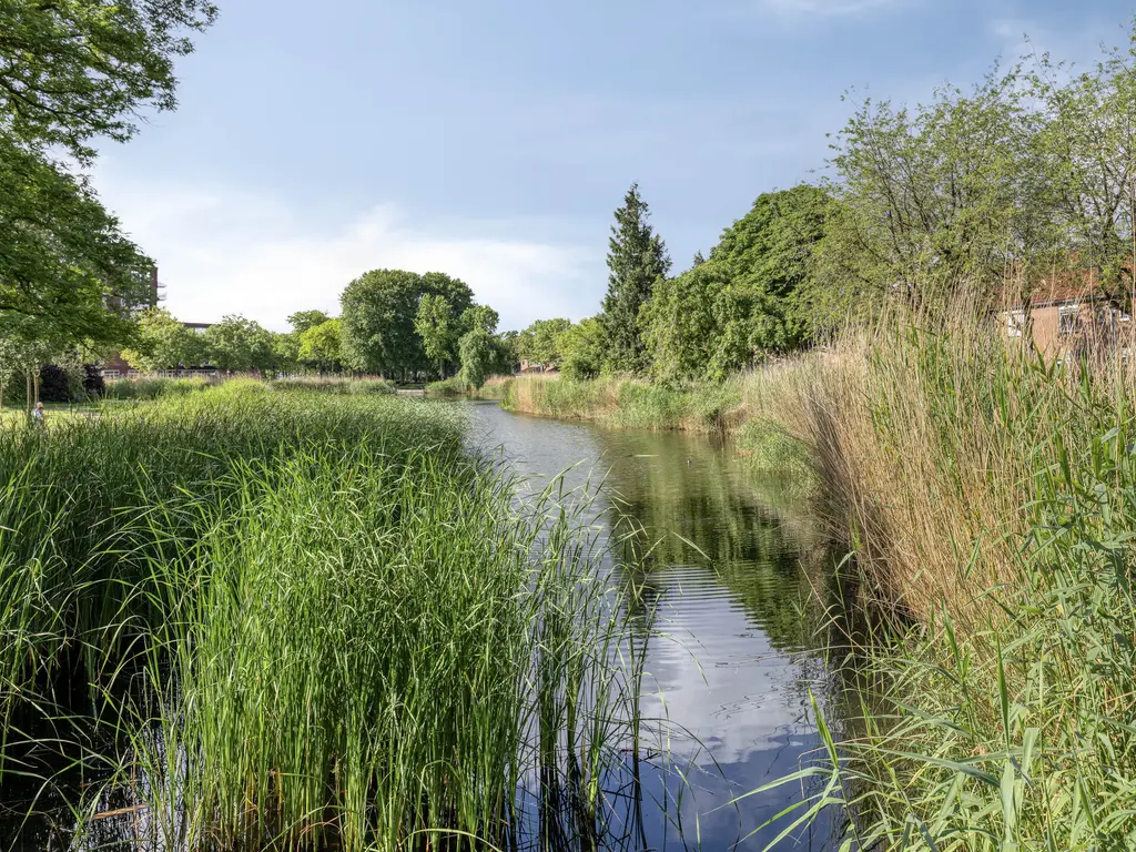 Botter 8, Oud-Beijerland