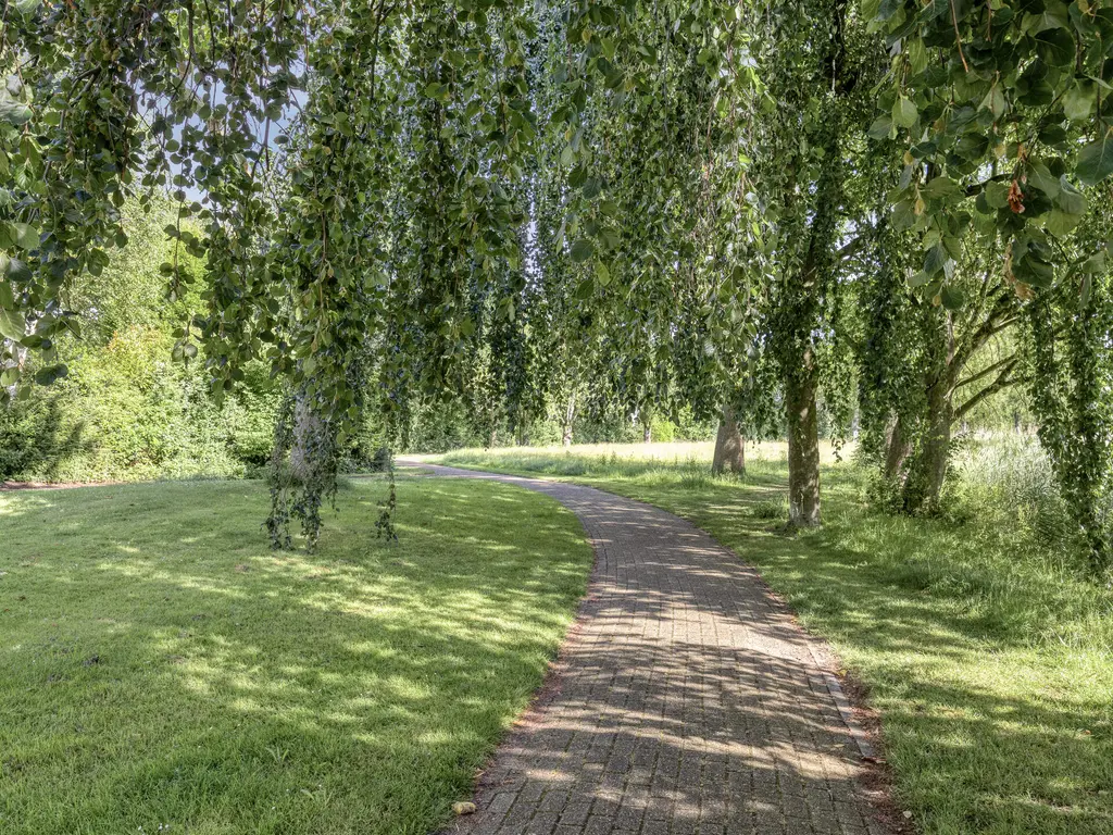 Botter 8, Oud-Beijerland