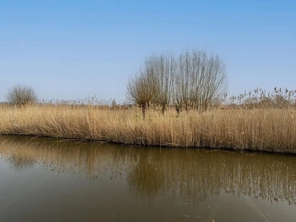 Dokter Duyvendakhof 28, OUD-BEIJERLAND