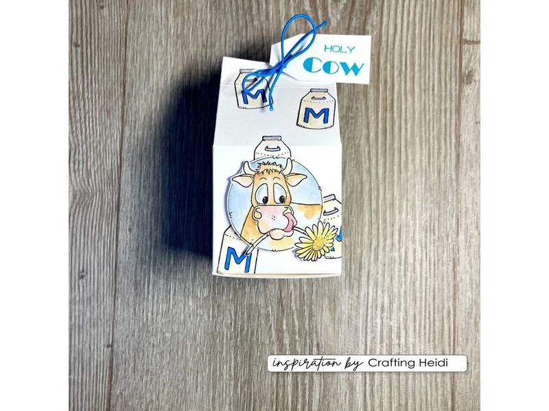 Foto 5