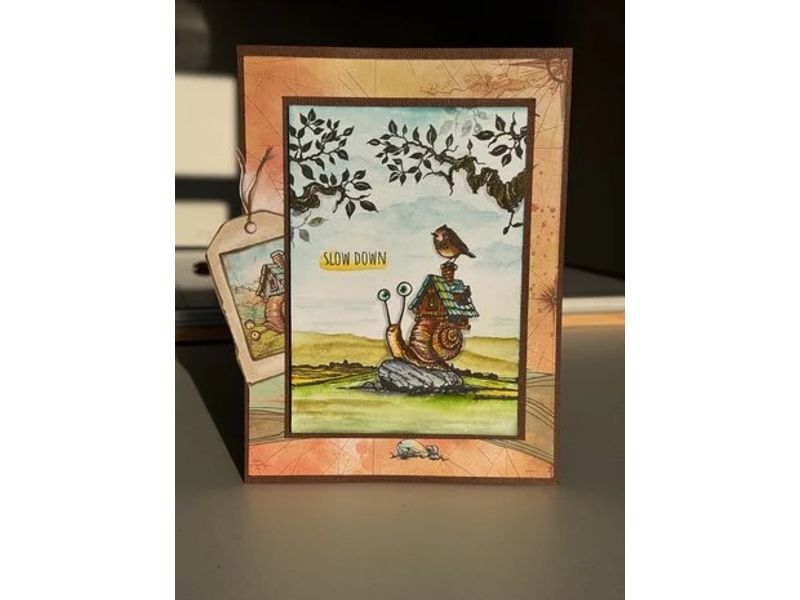 Foto 2