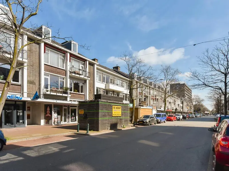 Theresiastraat 86, Den Haag