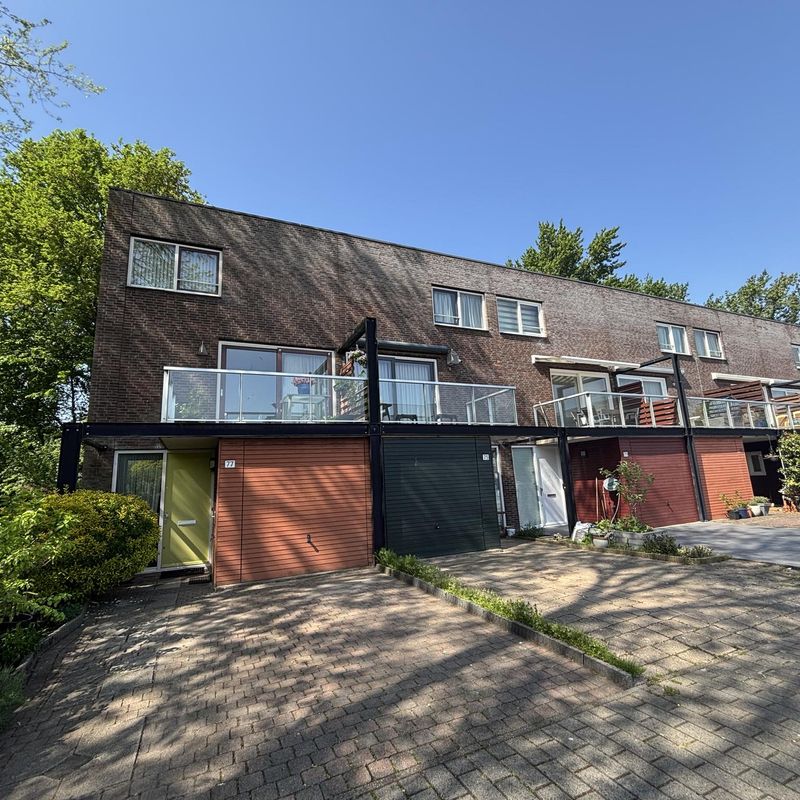 Borgerstraat 77, 'S-GRAVENHAGE