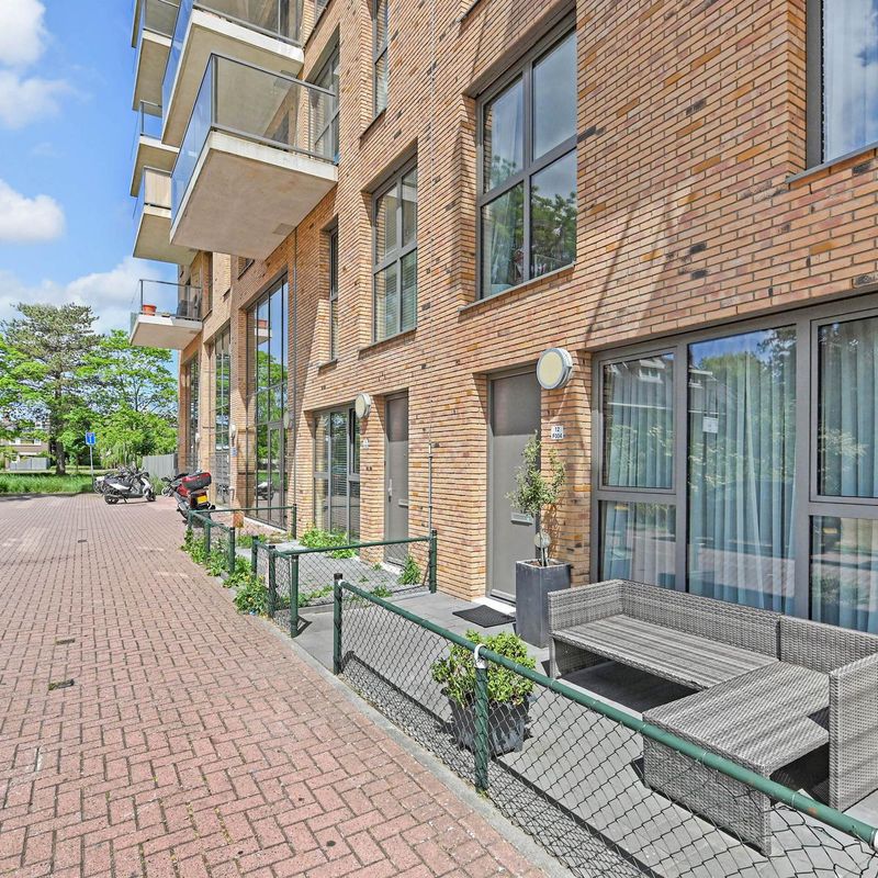 Treubstraat 12F004, RIJSWIJK