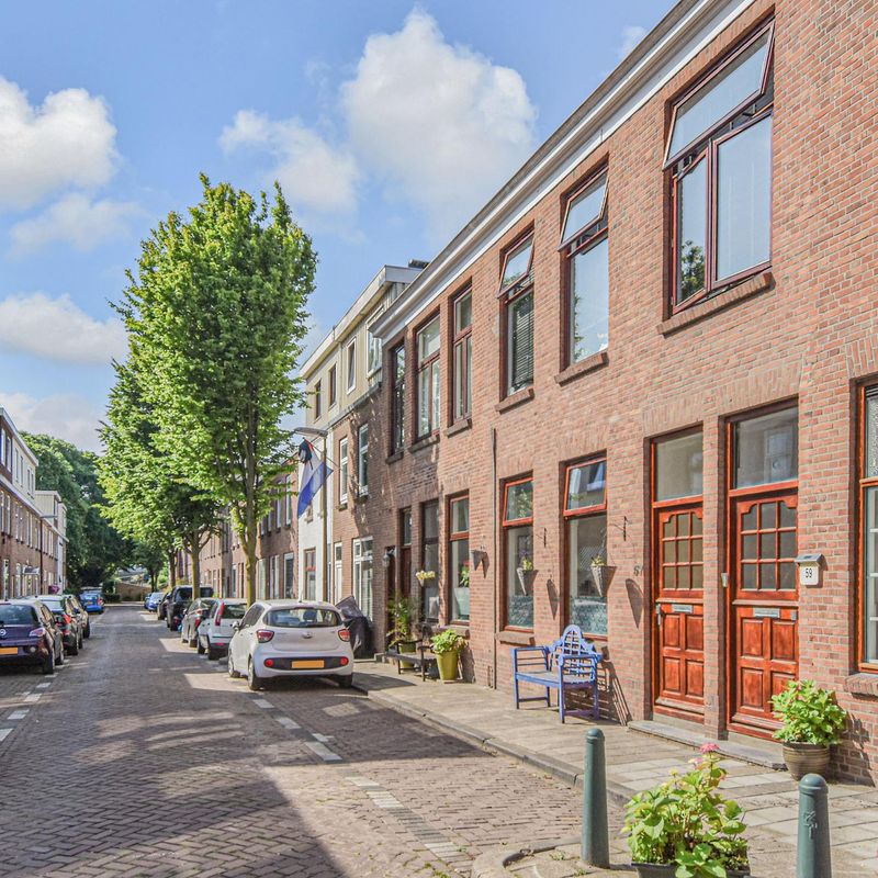 Stadstuinen 57, 'S-GRAVENHAGE