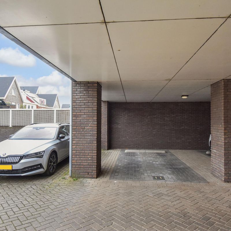 Stavangerstraat , 'S-GRAVENHAGE