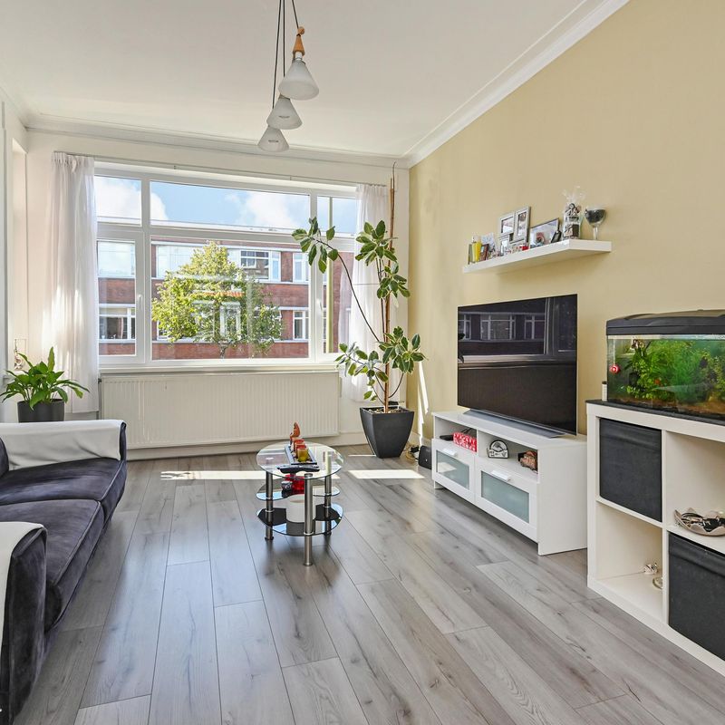 Driebergenstraat 206, 'S-GRAVENHAGE