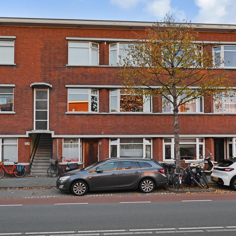 Driebergenstraat 213, 'S-GRAVENHAGE