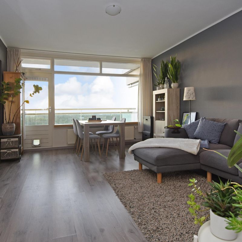 Forellendaal 224, 'S-GRAVENHAGE