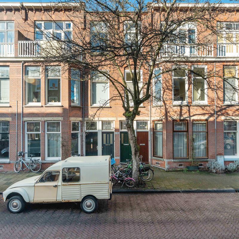 Van Loostraat 115, 'S-GRAVENHAGE