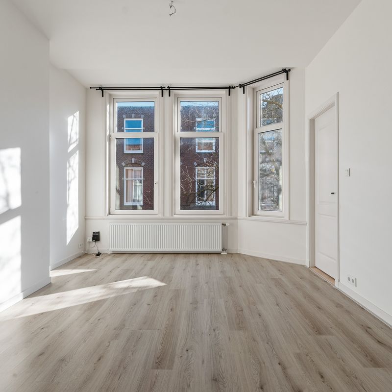 Van Loostraat 115, 'S-GRAVENHAGE