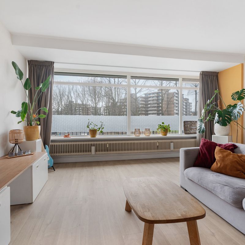 Ocarinalaan 14, RIJSWIJK