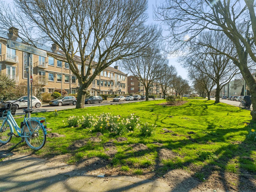 Balsemienlaan 230, 'S-GRAVENHAGE