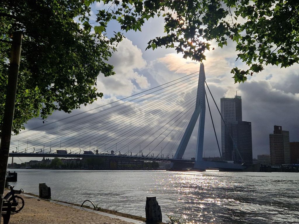 Gedempte Zalmhaven 394, ROTTERDAM
