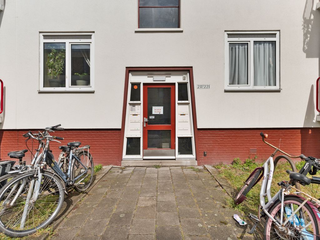 Roemer Visscherstraat 219, 'S-GRAVENHAGE