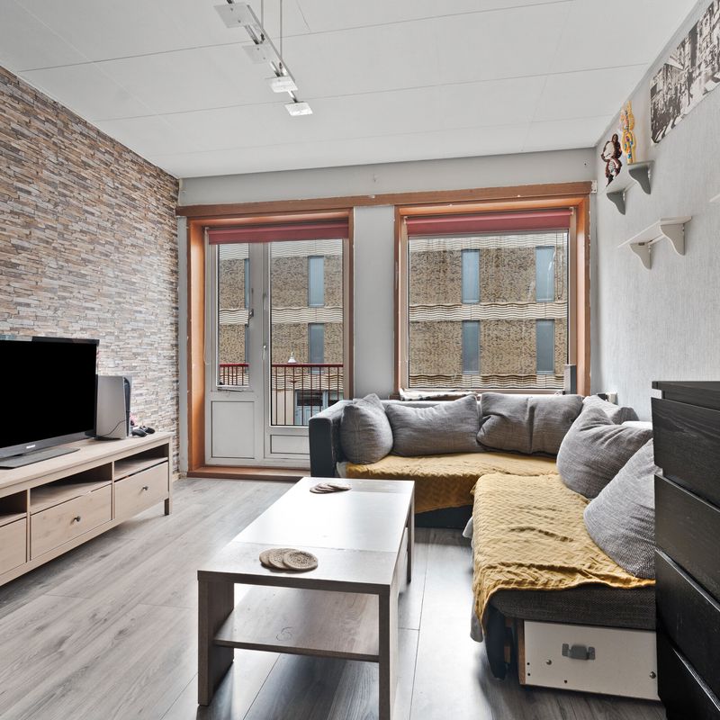 Roemer Visscherstraat 219, 'S-GRAVENHAGE