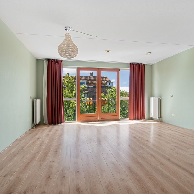Berkelselaan 177, ROTTERDAM
