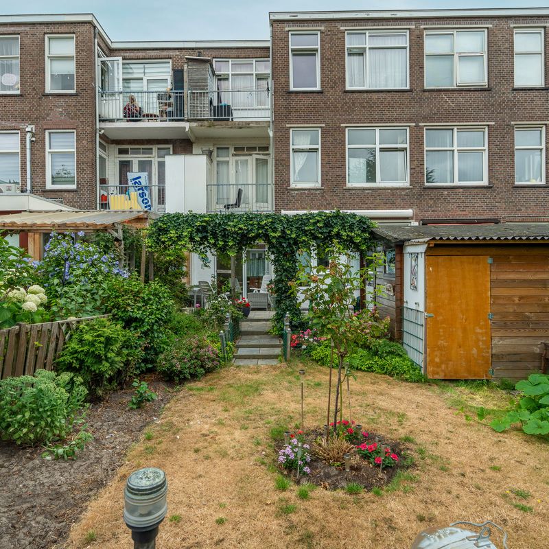 Zuiderparklaan 375, 'S-GRAVENHAGE