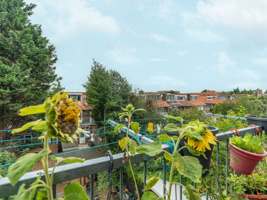 Zuiderparklaan 311, 'S-GRAVENHAGE