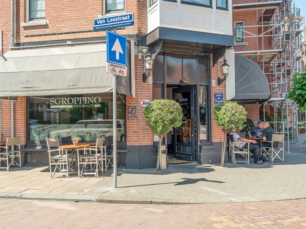 Van Loostraat 115A, 'S-GRAVENHAGE