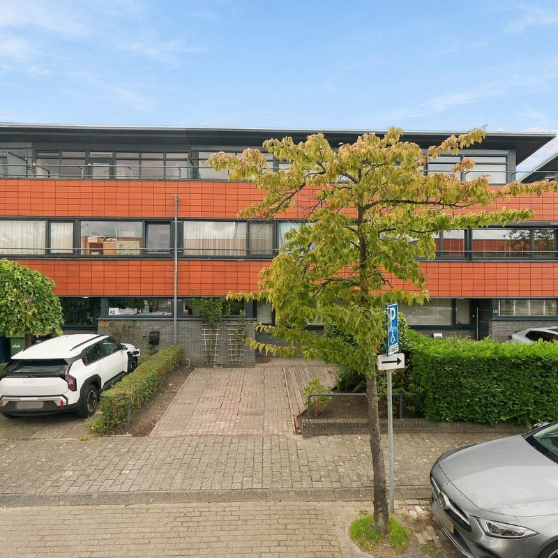 Elsenburgstraat 41, 'S-GRAVENHAGE