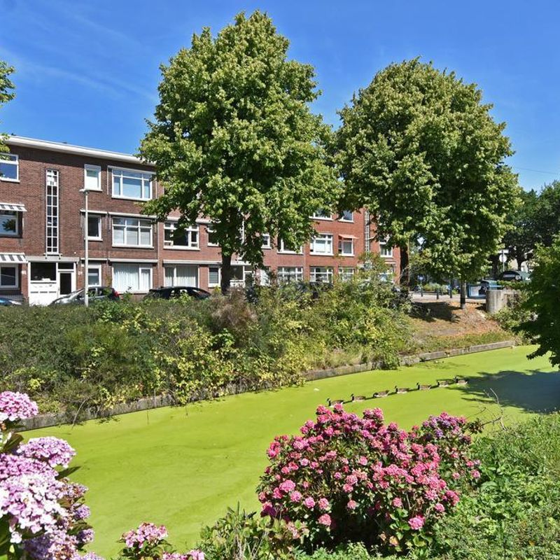 Schwerinkade 44, 'S-GRAVENHAGE