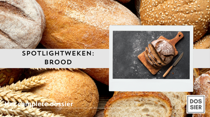 Spotlightweken - Brood