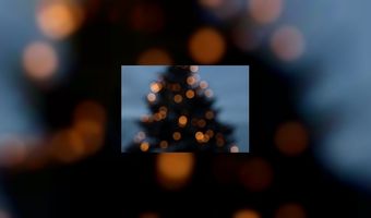 Gommans maakt beste kerststol