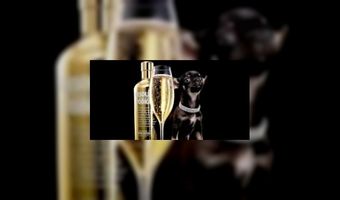 Zakelijke groepsreizen in de lift en luxer