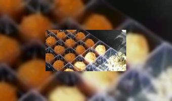 Bitterbal populair in Engeland