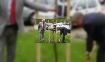 Appelbomen van hotel in Oranjewoud