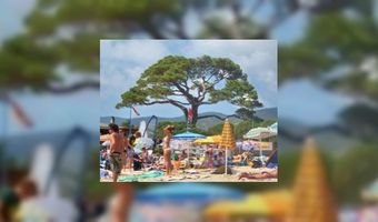 Dossier Toerisme (2)