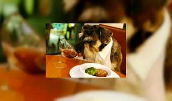 Beestachtig lekker dineren